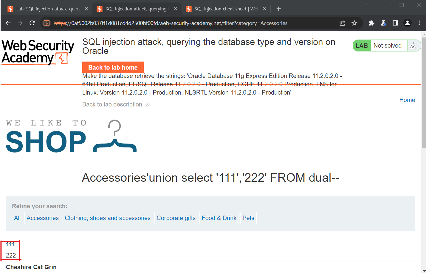 Portswigger sql injection