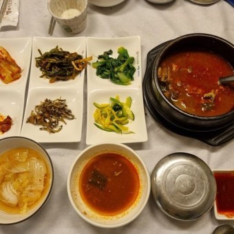 활오징어회 산오징어물회