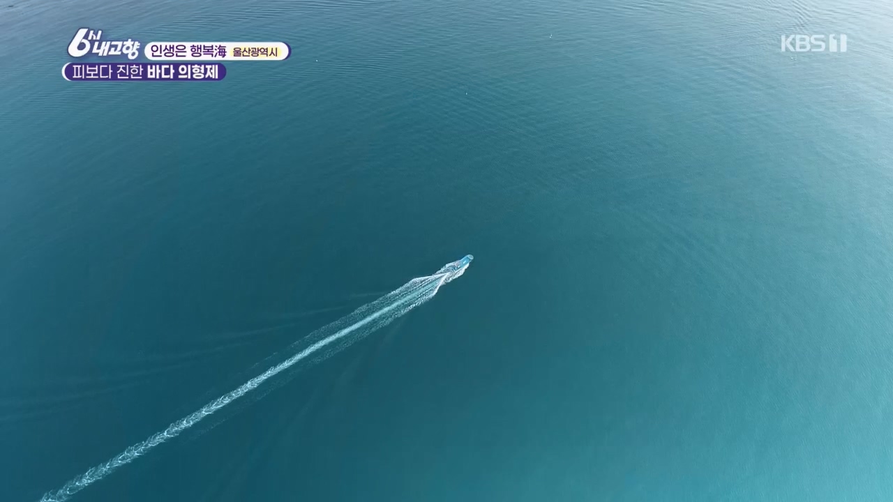 6시 내고향.E7763.230411p.H264-F1RST.mp4_20230411_203327.711.jpg