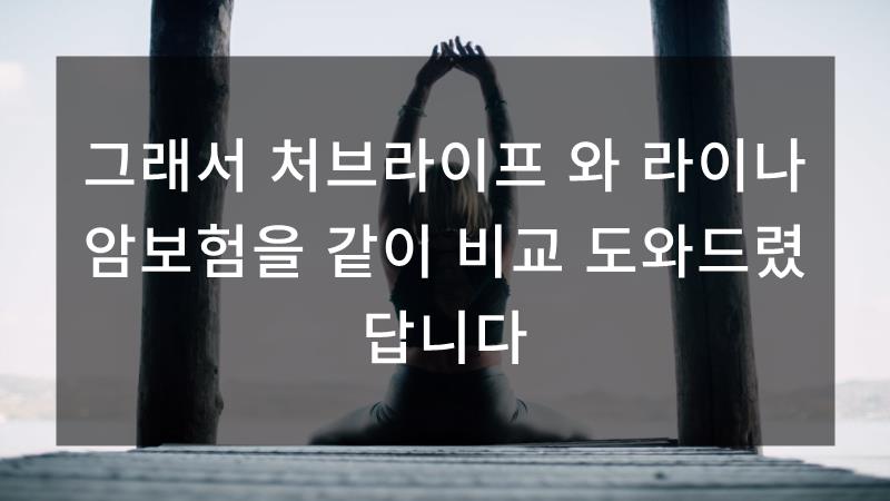 처브라이프매월받는 암생활비 8