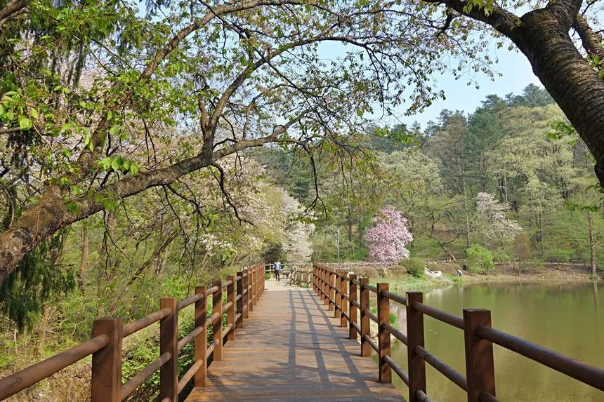 숨겨진 힐링 명소로 떠나는 포천 광릉수목원 완전 정복 가이드북 2025_6