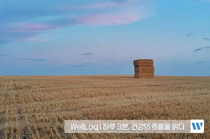 파로 효소 효능&amp;#44; 카무트 효소 효능