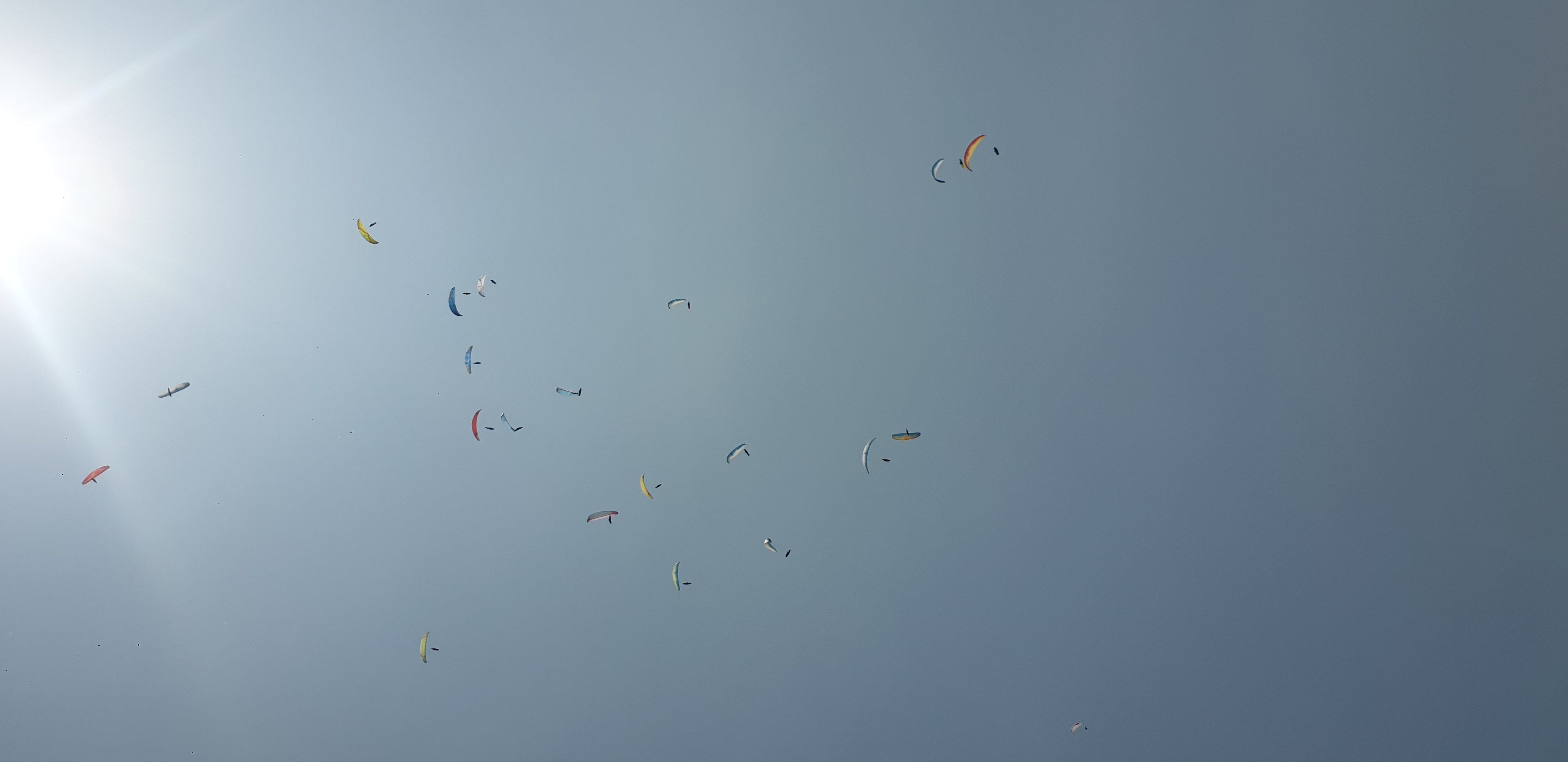 tfile.jpg
