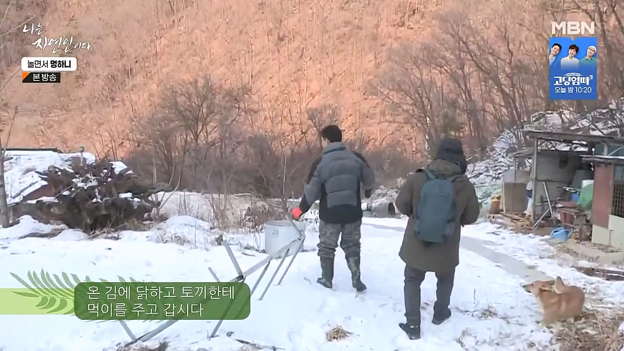 나는 자연인이다.E538.230126p-NEXT.mp4_20230126_194012.490.jpg