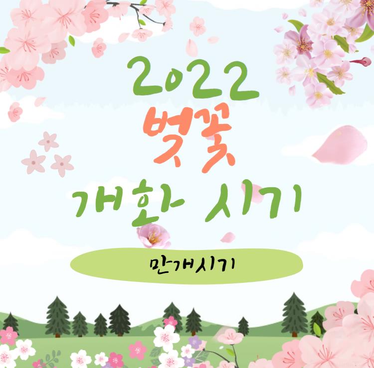 시기 벚꽃 2022 년 개화 2022 서울
