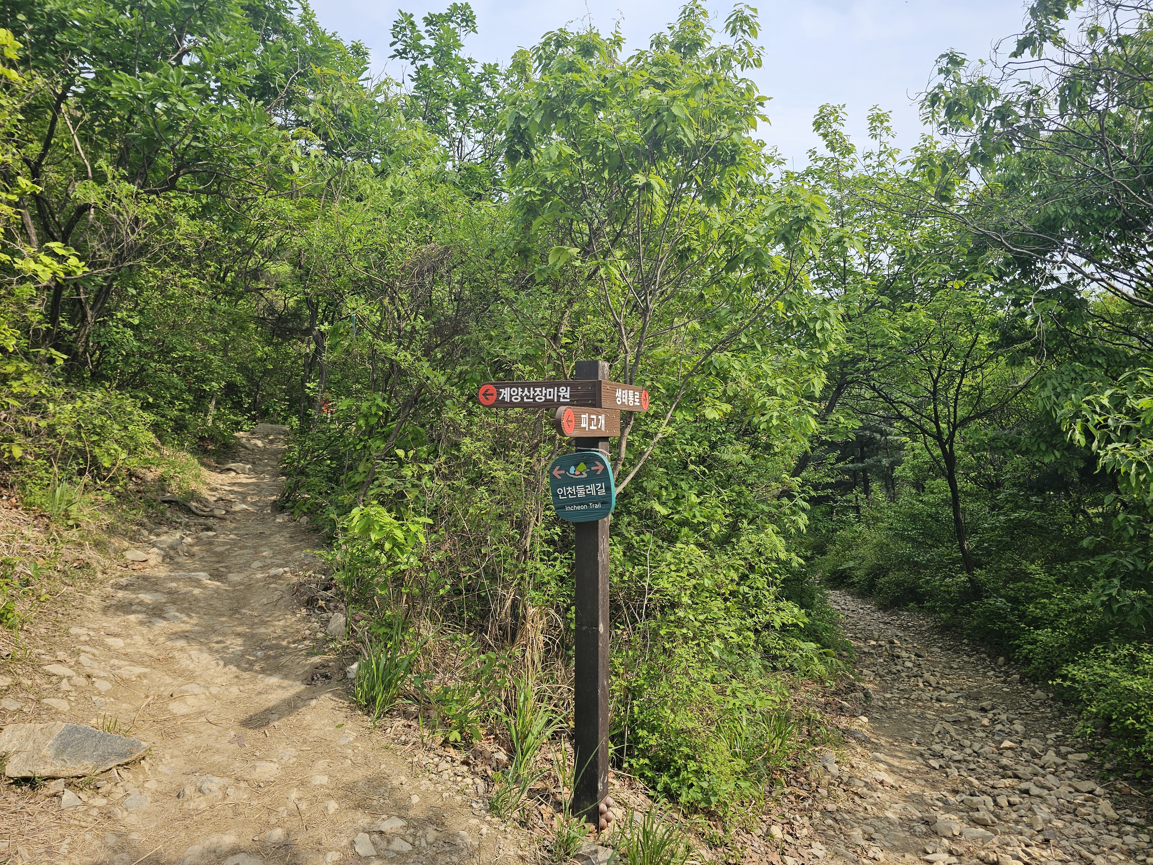 계양산 갈림길