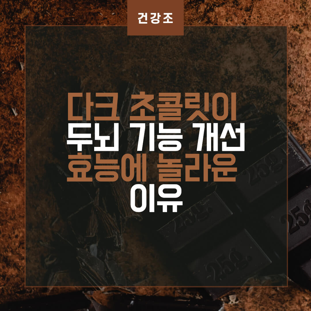  다크 초콜릿이 두뇌 기능 개선 효능에 놀라운 이유
