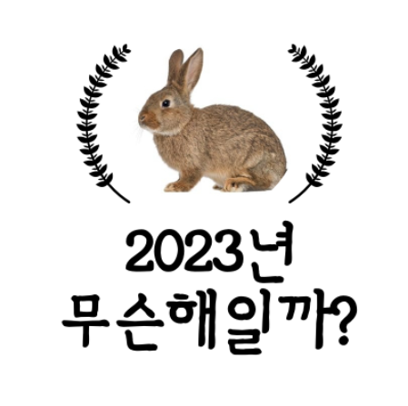  2023년계묘년뜻 검은토끼띠와잘맞는띠 검은토끼관련속담 알아봐요!!*^v^*