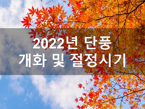 2022년 단풍 개화 및 절정시기