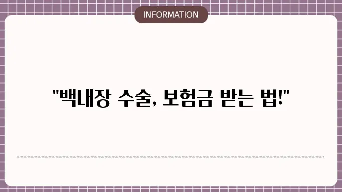 백내장 수술 본룹등 괄매수로섯섚 내결 팁