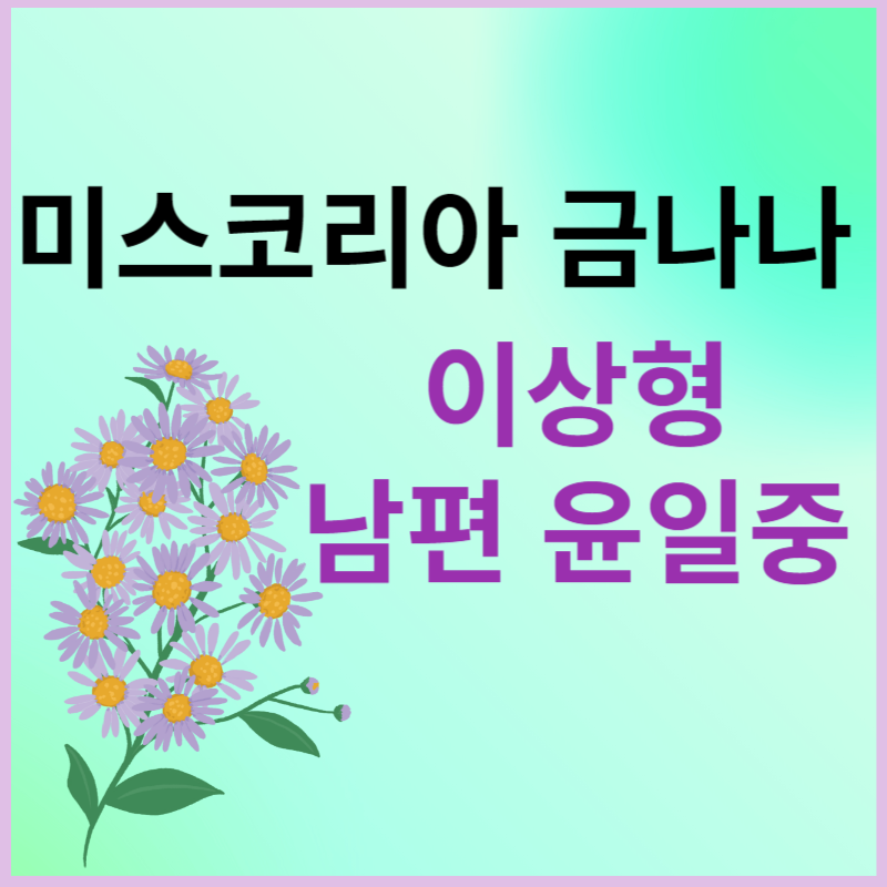 미스코리아 금나나