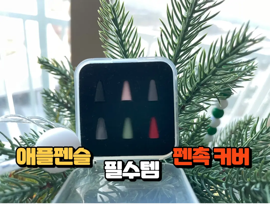  애플펜슬 펜촉 보호캡, 펜슬과 아이패드 보호를 부탁해