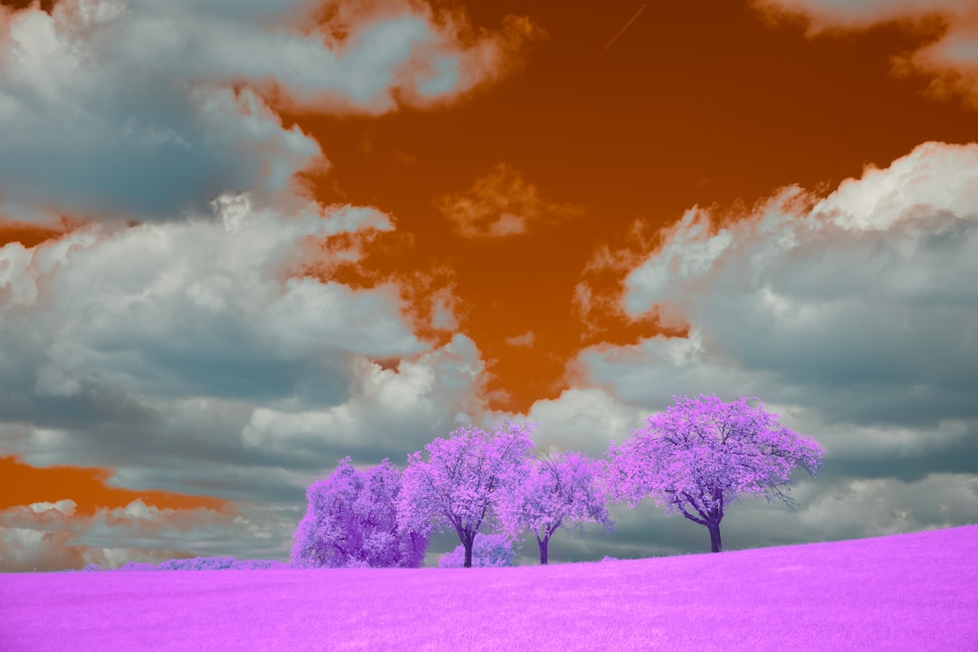 Dream Interpretation