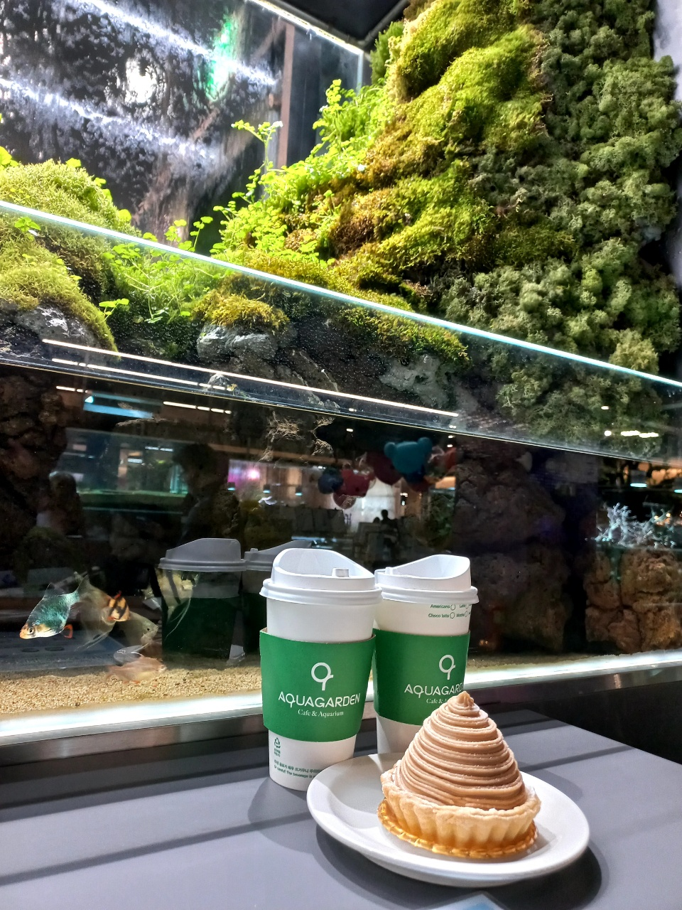  용인 아쿠아가든카페(AQUAGARDEN Cafe&Aquarium) 리빙파워센터점 기흥점