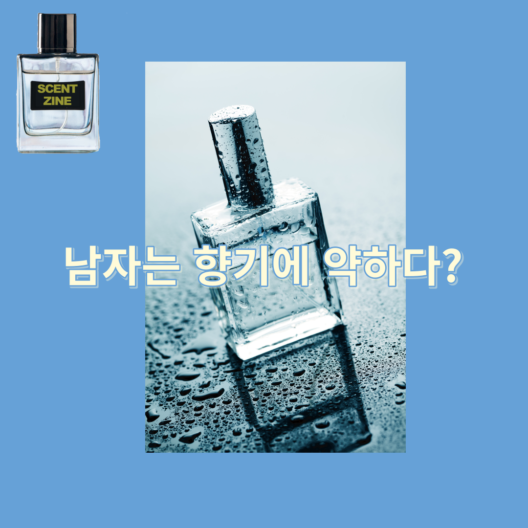 남자는 향수에 약하다? 진짜?