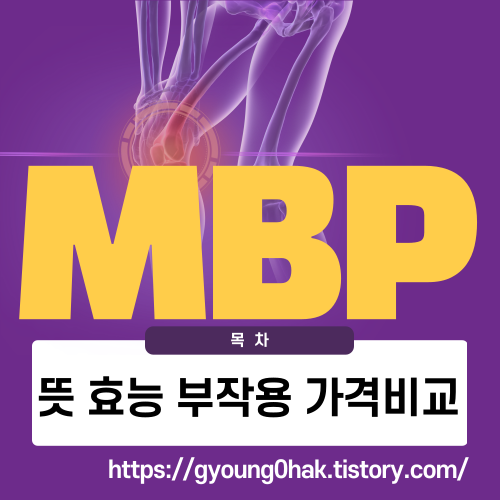 뼈엔mbp