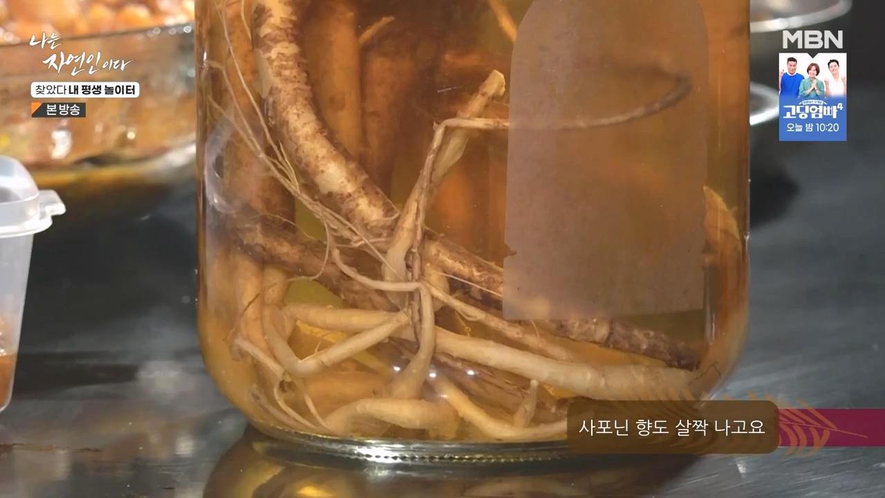 나는 자연인이다.E569.230831p-NEXT.mp4_20230831_201807.981.jpg