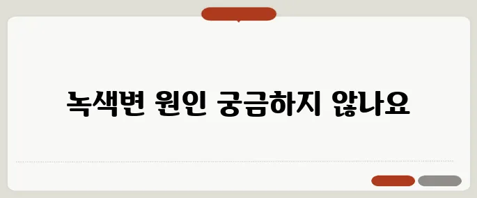 녹색변 정리 알아두면 유용해요