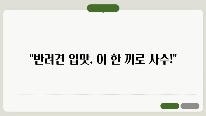 반려견 입맛 사수 수제 사료 레시피와 맞춤식 2025년 추천