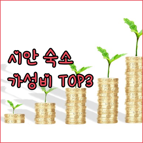 시안 여행, 종루 근처 가성비 호텔 