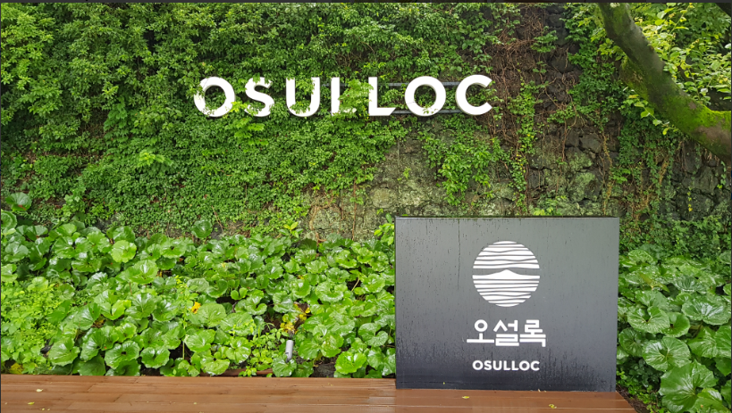 오설록 티 뮤지엄