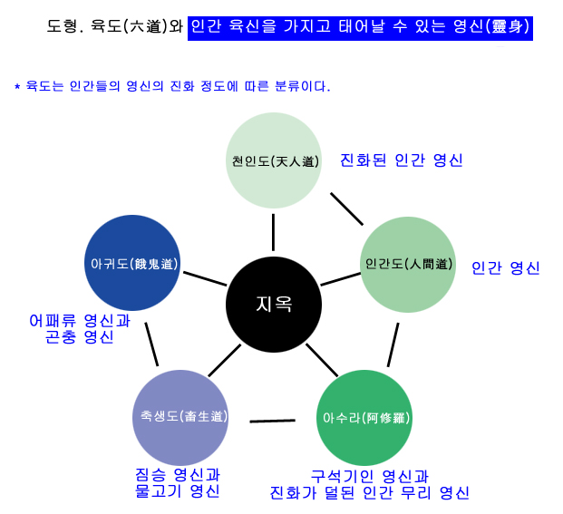 육도 이미지