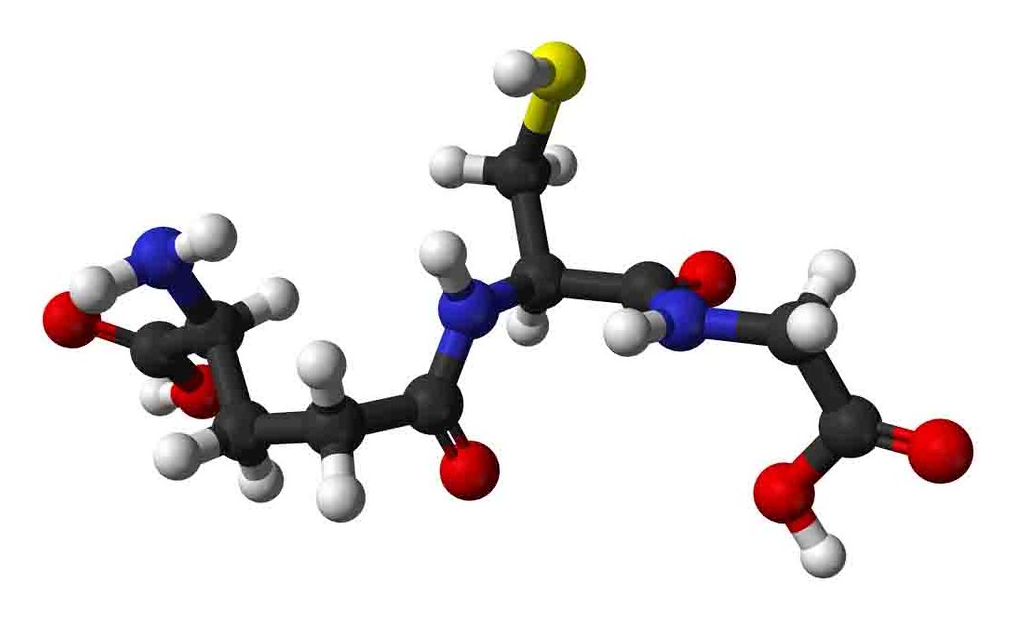 글루타치온이란 무엇인가요?