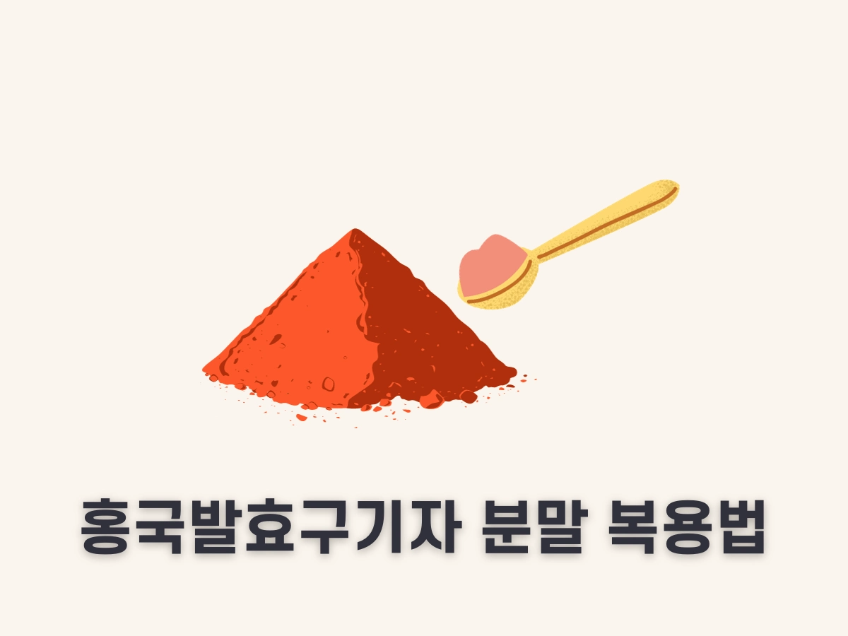 홍국 발효 구기자 먹는 법