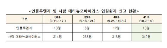  사람 메타뉴모바이러스 감염증 유행 주의
