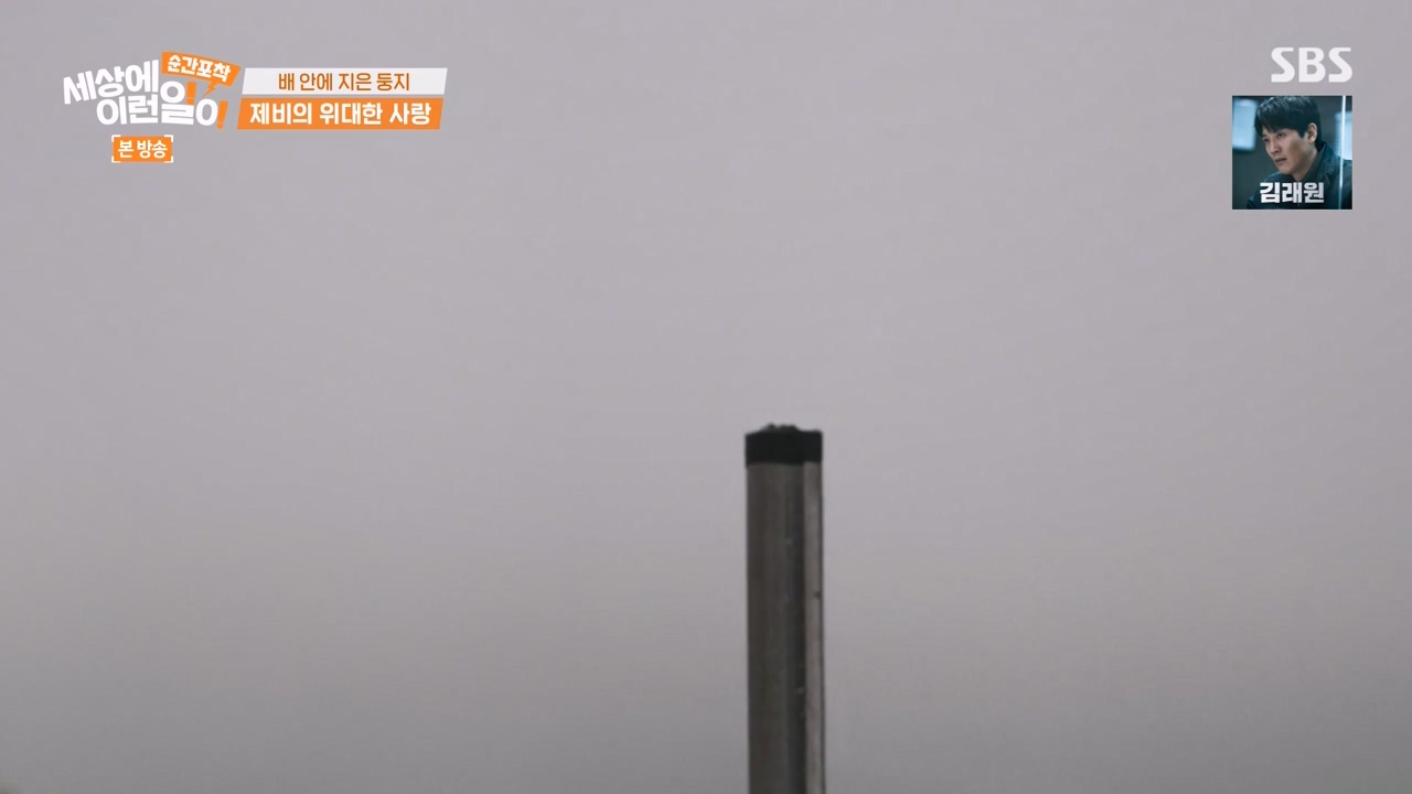 순간포착 세상에 이런일이.E1238.230723p-NEXT.mp4_20230724_205449.211.jpg