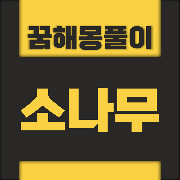  [꿈해몽풀이] 소나무 꿈해몽 모음