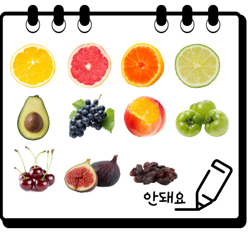 강아지가 먹으면 안 되는 과일을 보기 쉽게 그림으로 정리했다