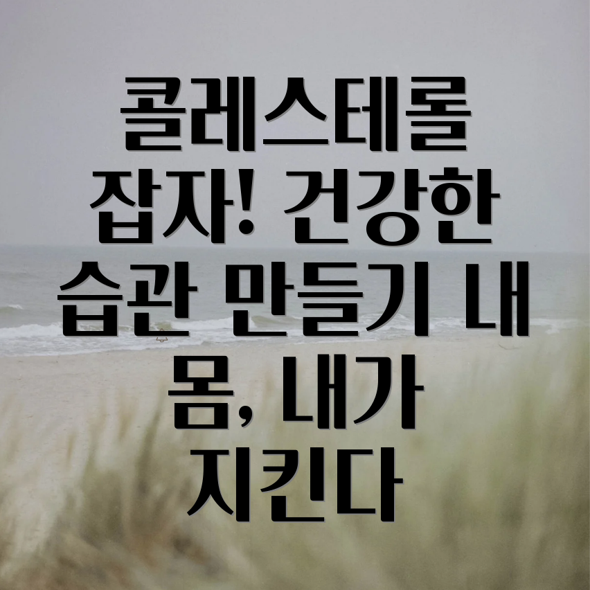 콜레스테롤 관리