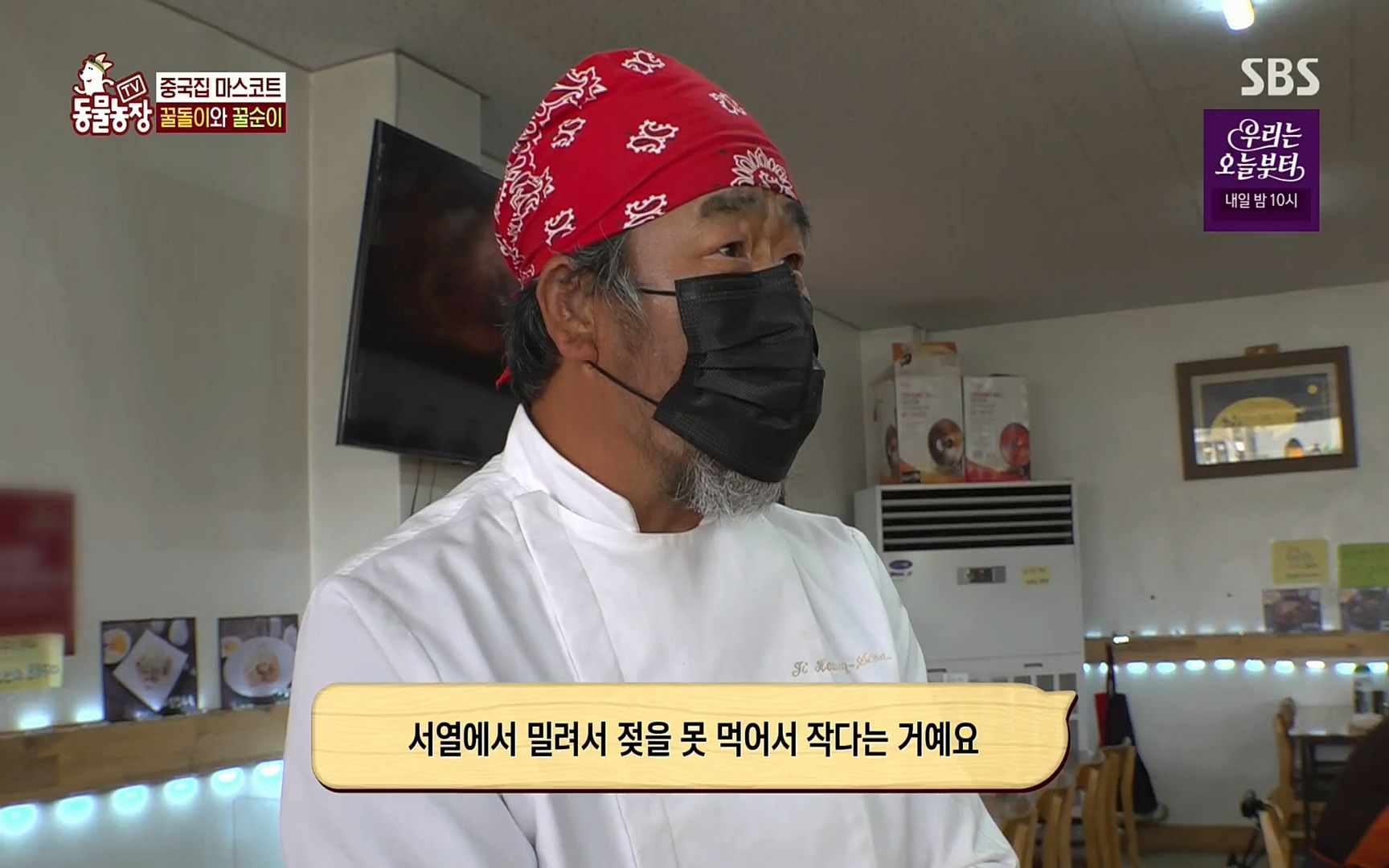 TV 동물농장.E1069.220515p.H264-F1RST.mp4_20220515_181241.590.jpg