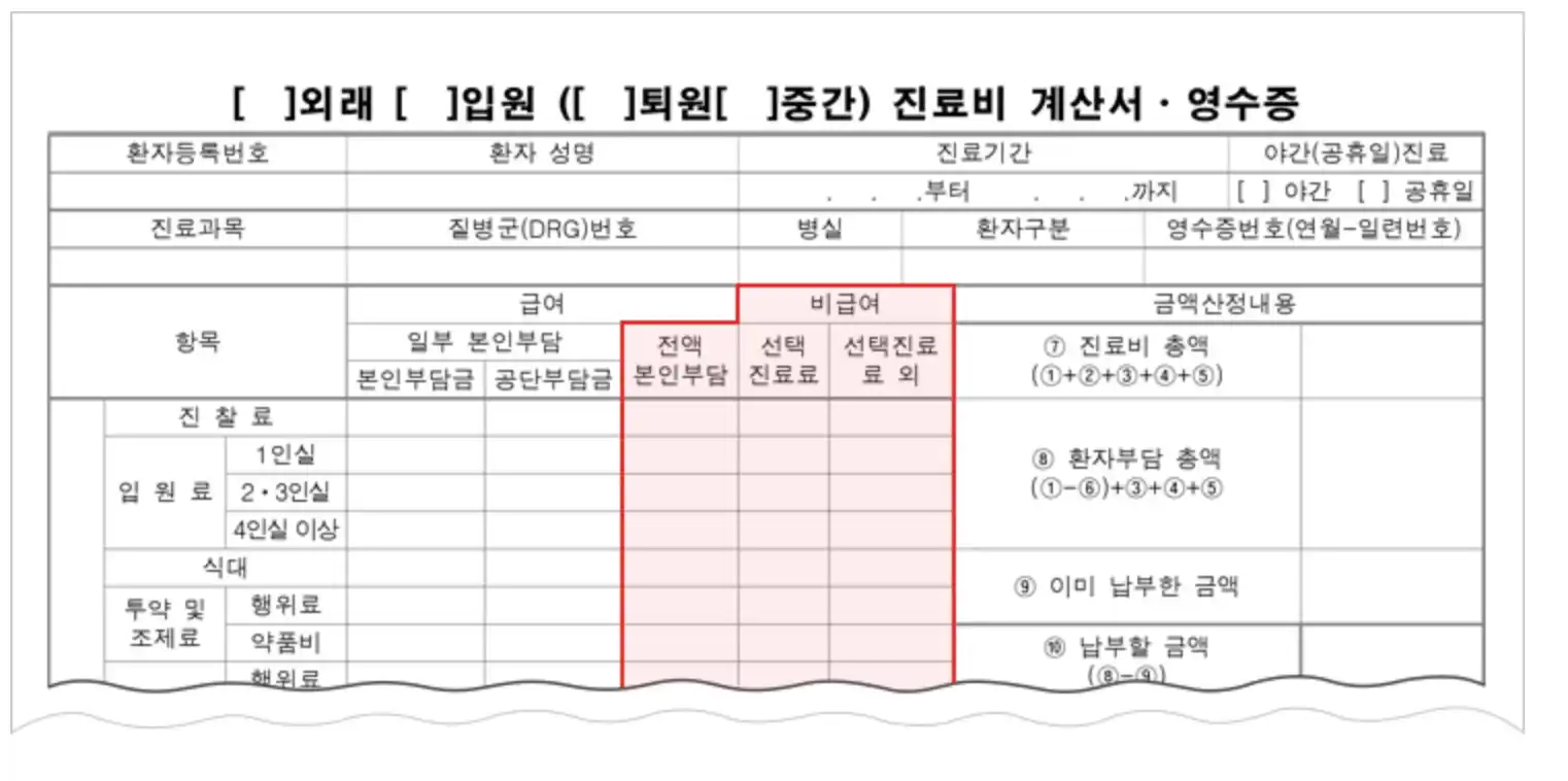 진료비 확인 서비스