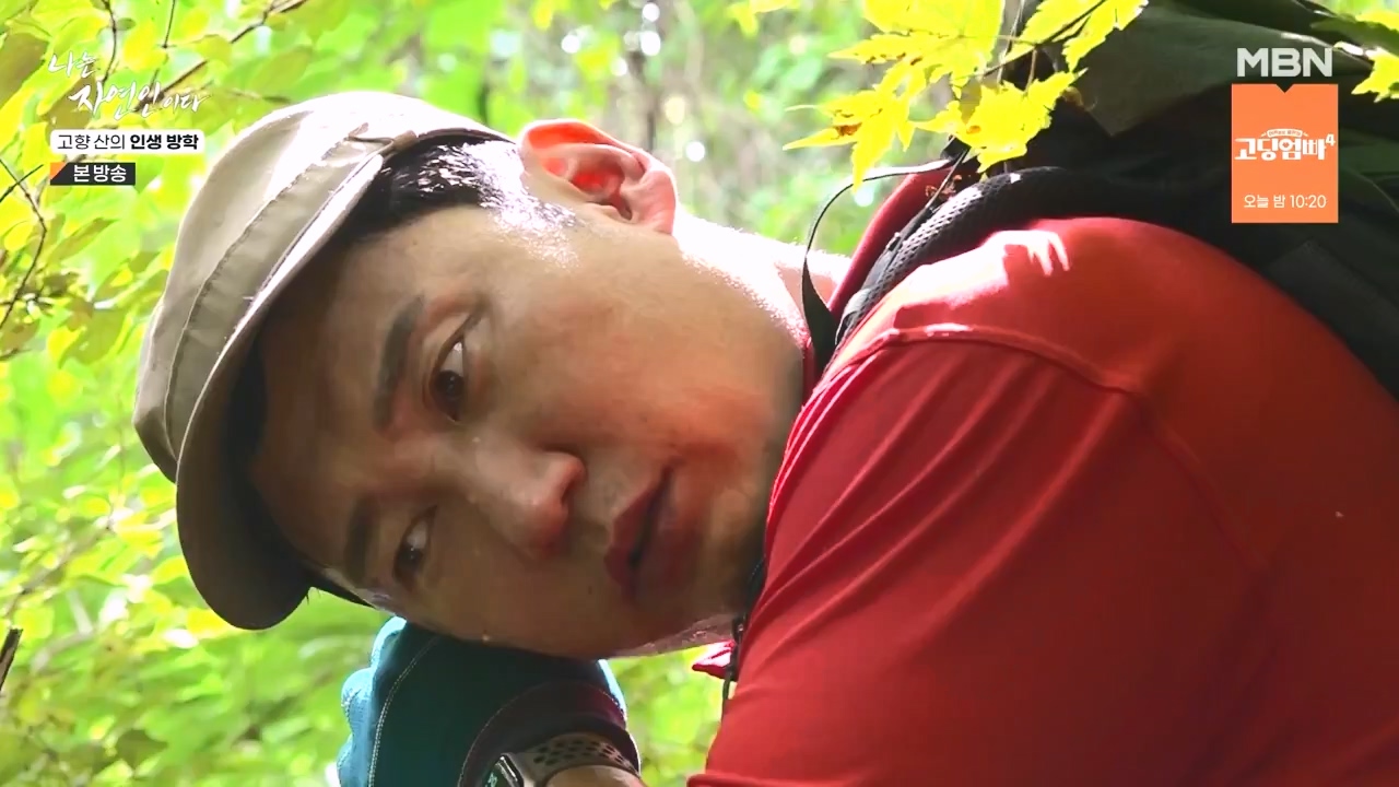 나는 자연인이다.E568.230824p-NEXT.mp4_20230824_203248.883.jpg