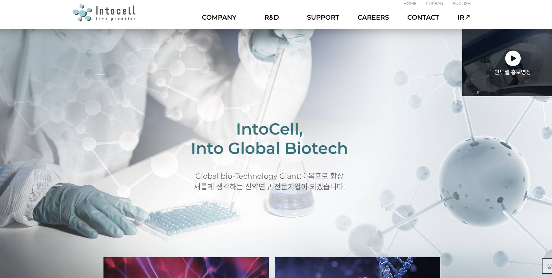 인투셀