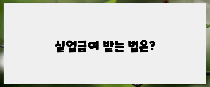 실업급여 조건을 충족하는 방법: 팁과 요령