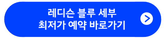 레디슨 블루 세부 최저가 예약 바로가기