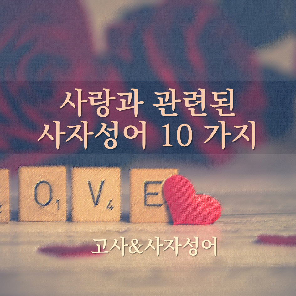  사랑과 관련된 사자성어 10 가지 - 요제프와 함께보는 고사&사자성어3