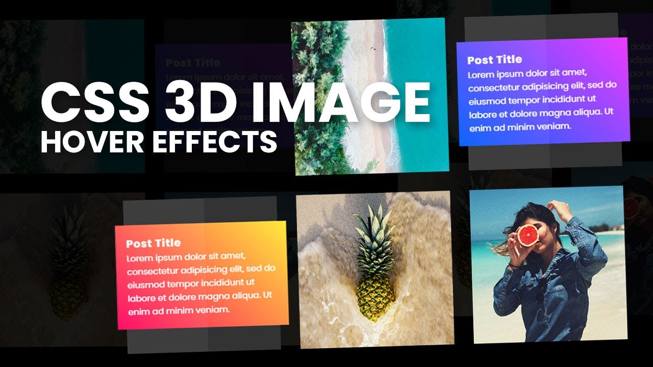 반응 형 CSS 3D 이미지 호버 효과 | HTML 및 CSS를 사용하여 호버에서 3D 플립 카드 효과