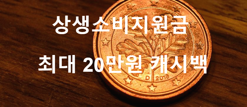  상생소비지원금 최대 20만원 캐시백