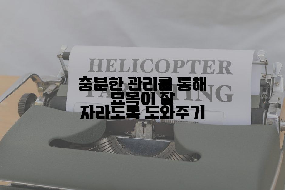 충분한 관리를 통해 묘목이 잘 자라도록 도와주기