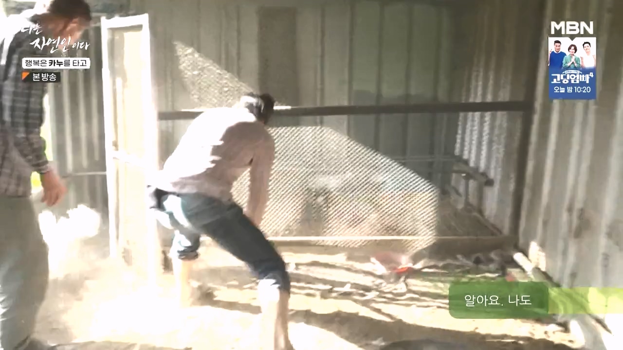 나는 자연인이다.E576.231019p-NEXT.mp4_20231019_201419.044.jpg