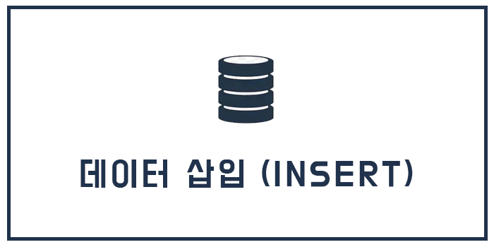  데이터 삽입 (INSERT)