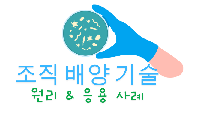 조직 배양 기술 원리의 환경 친화적 응용 사례 분석