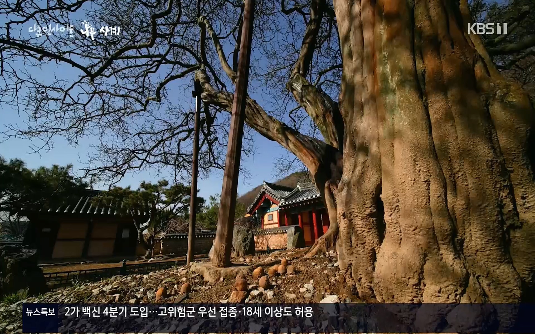 다큐 인사이트.E124.220908p.H264-F1RST.mp4_20220912_143726.419.jpg