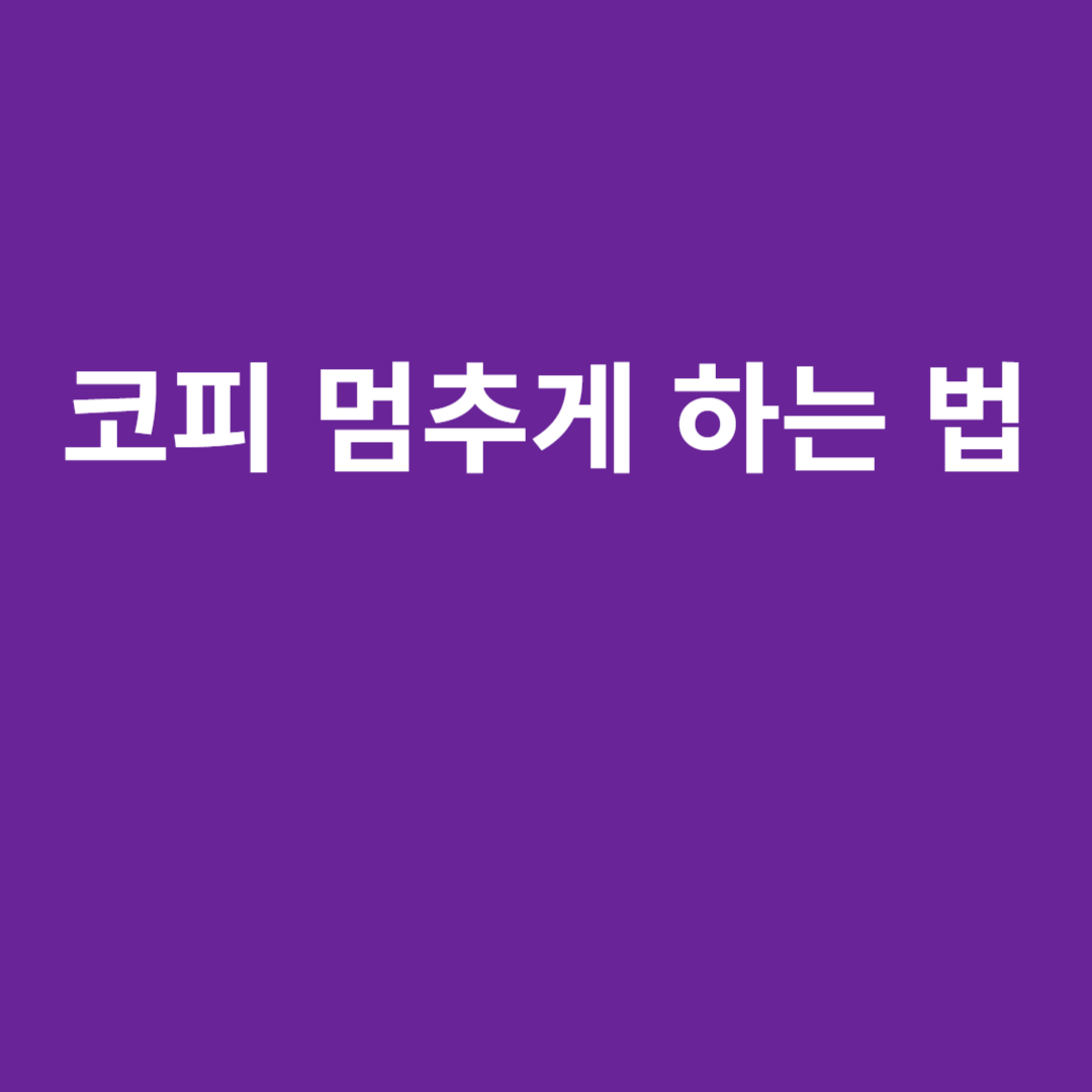 코피 멈추게하는 법