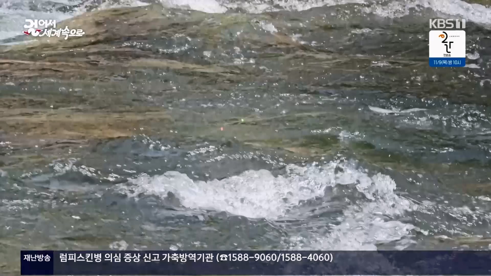 걸어서 세계속으로.E814.231028p.H264-F1RST.mp4_20231029_173148.775.jpg