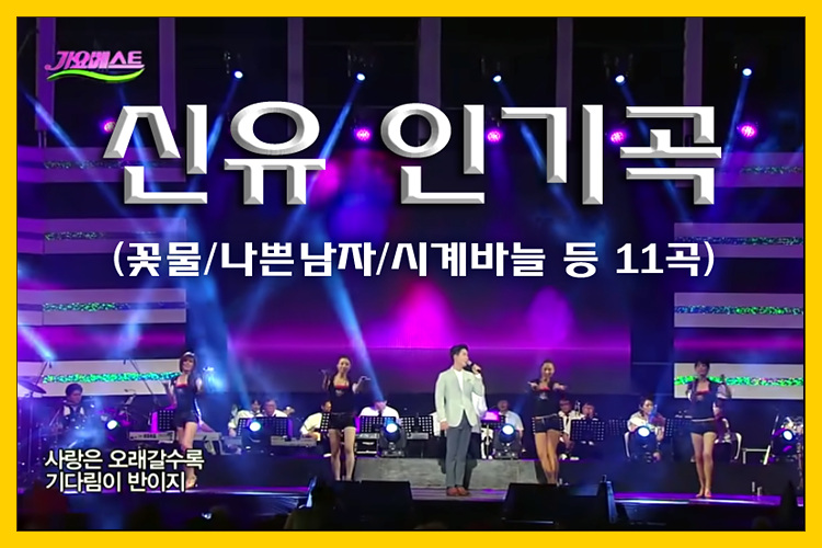  [트로트 메들리] 신유 인기곡 노래모음 (꽃물/시계바늘 등 11곡)